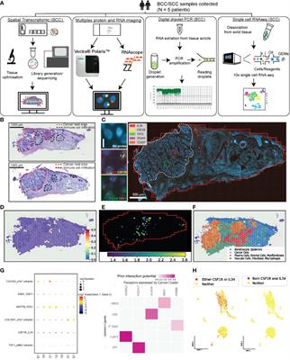 A robust experimental and computational analysis framework at multiple resolutions, modalities and coverages
